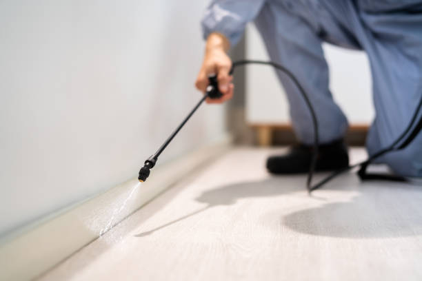 Licensed Termite Control service in St. Croix Falls, WI - Nex Pest Control