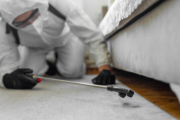 Professional Termite Control technician working in St. Croix Falls, WI
