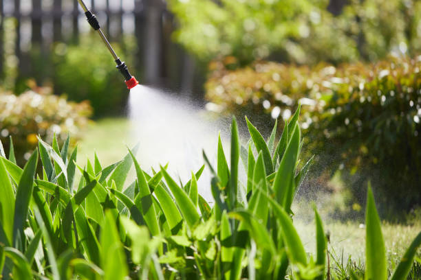 24/7 Emergency Termite Control experts in St. Croix Falls, WI
