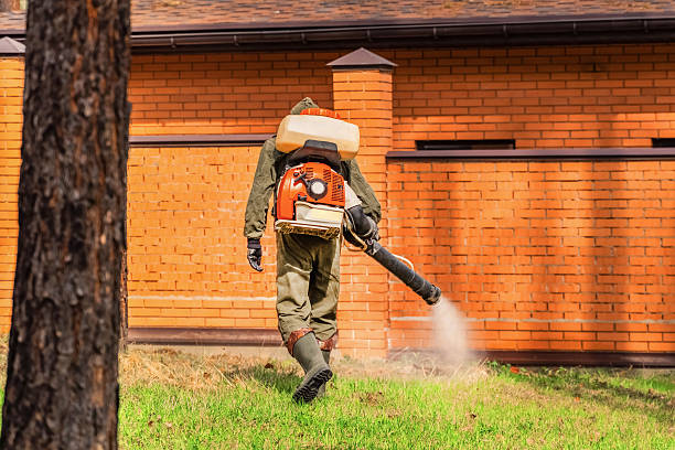 Trusted Termite Control service in St. Croix Falls, WI - Nex Pest Control